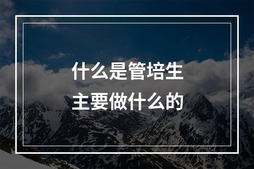 什么是管培生主要做什么的