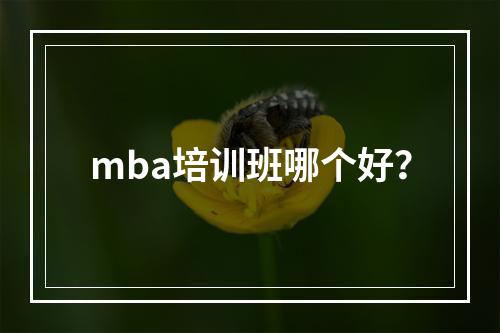 mba培训班哪个好？