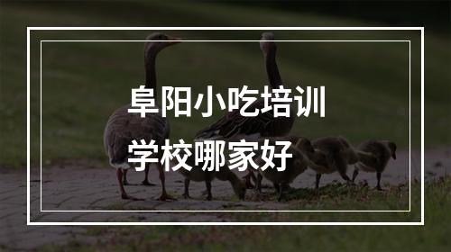 阜阳小吃培训学校哪家好