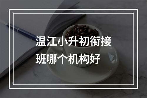 温江小升初衔接班哪个机构好