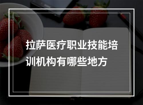 拉萨医疗职业技能培训机构有哪些地方