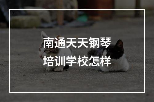 南通天天钢琴培训学校怎样