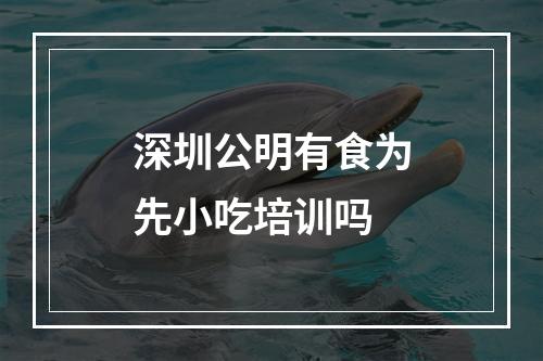 深圳公明有食为先小吃培训吗