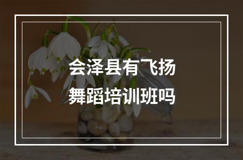 会泽县有飞扬舞蹈培训班吗