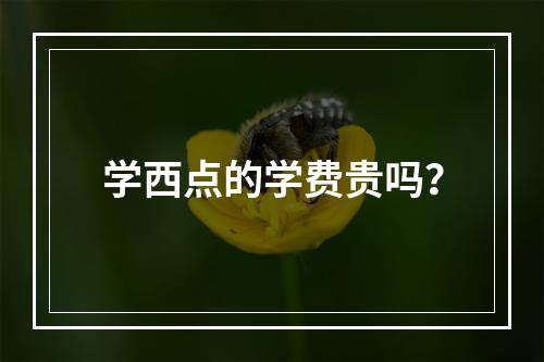 学西点的学费贵吗？