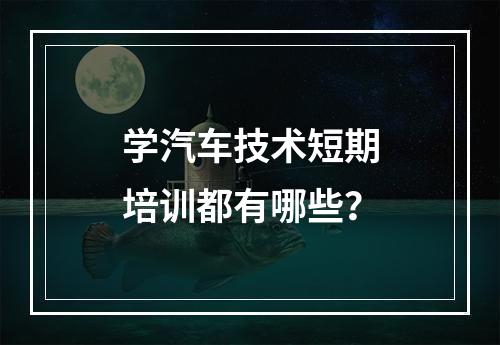 学汽车技术短期培训都有哪些？