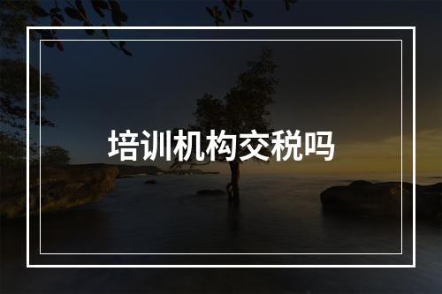 培训机构交税吗