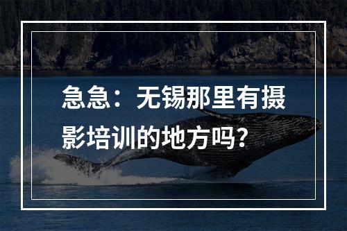 急急：无锡那里有摄影培训的地方吗？