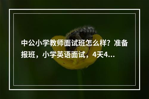 中公小学教师面试班怎么样？准备报班，小学英语面试，4天4晚3980元，包住，有报过的吗？