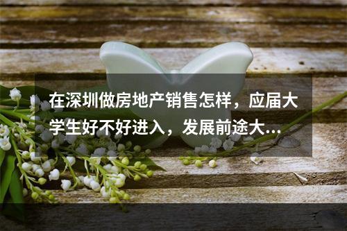 在深圳做房地产销售怎样，应届大学生好不好进入，发展前途大不大？