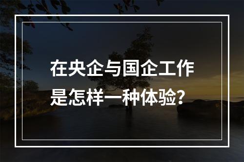 在央企与国企工作是怎样一种体验？