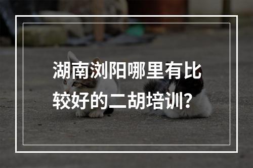 湖南浏阳哪里有比较好的二胡培训？