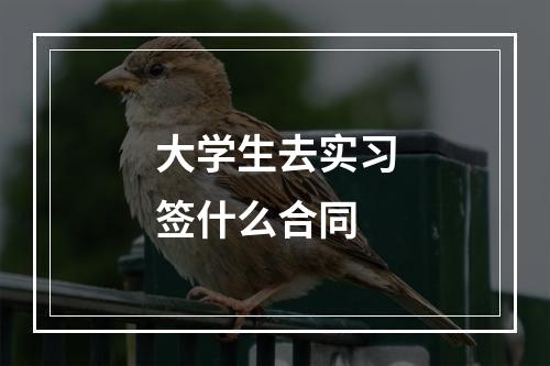 大学生去实习签什么合同