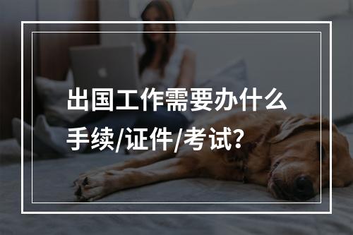 出国工作需要办什么手续/证件/考试？