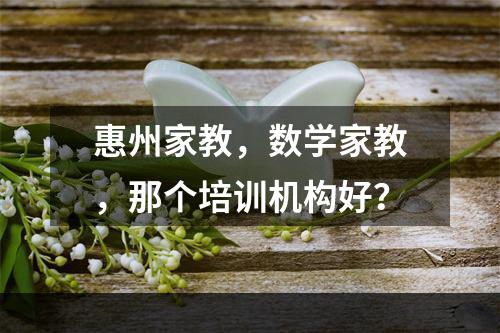 惠州家教，数学家教，那个培训机构好？