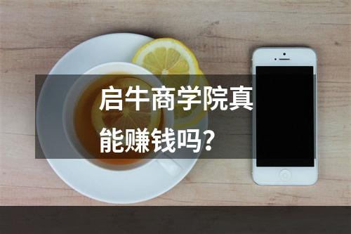 启牛商学院真能赚钱吗？