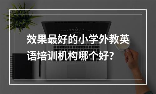 效果最好的小学外教英语培训机构哪个好？