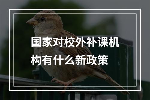 国家对校外补课机构有什么新政策