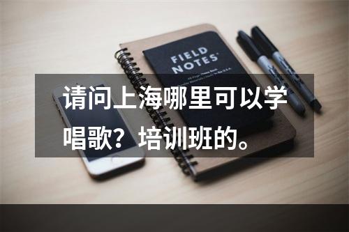 请问上海哪里可以学唱歌？培训班的。