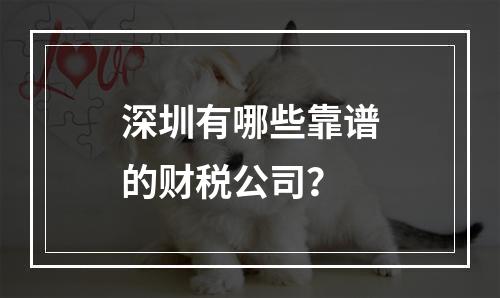 深圳有哪些靠谱的财税公司？