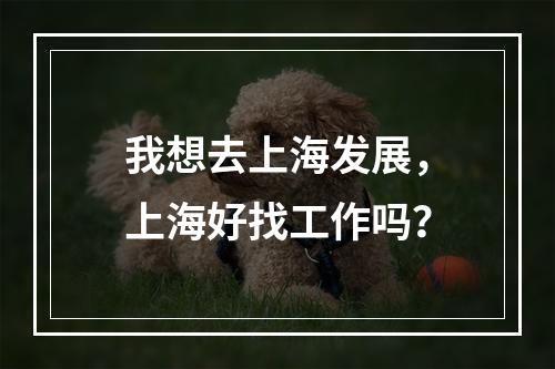 我想去上海发展，上海好找工作吗？