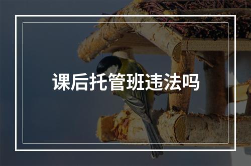 课后托管班违法吗