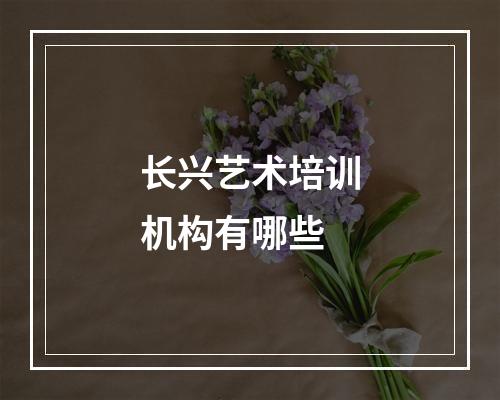 长兴艺术培训机构有哪些