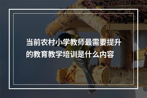 当前农村小学教师最需要提升的教育教学培训是什么内容