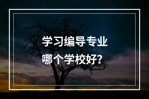 学习编导专业哪个学校好？