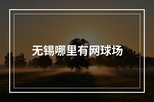 无锡哪里有网球场