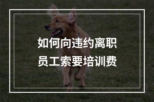 如何向违约离职员工索要培训费