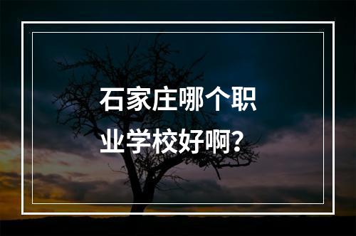 石家庄哪个职业学校好啊？