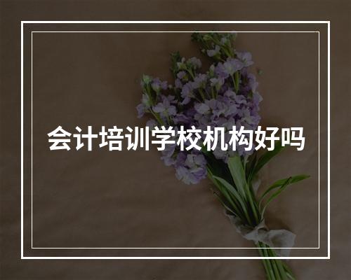 会计培训学校机构好吗