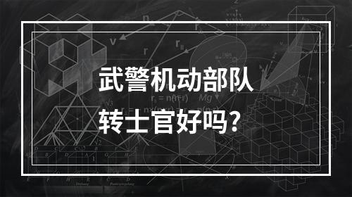 武警机动部队转士官好吗?