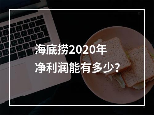 海底捞2020年净利润能有多少？