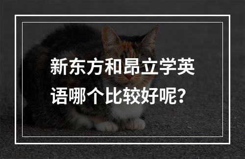 新东方和昂立学英语哪个比较好呢？