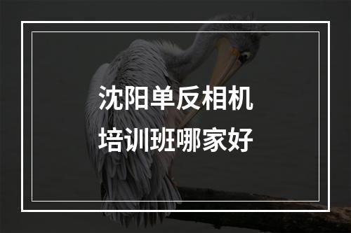 沈阳单反相机培训班哪家好