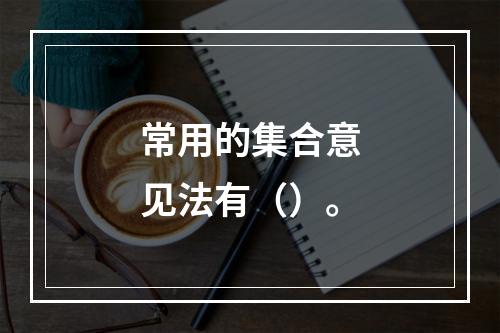 常用的集合意见法有（）。