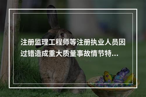 注册监理工程师等注册执业人员因过错造成重大质量事故情节特别