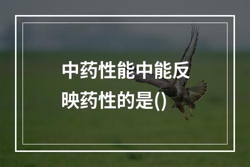 中药性能中能反映药性的是()