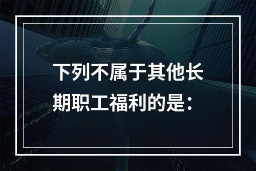 下列不属于其他长期职工福利的是：