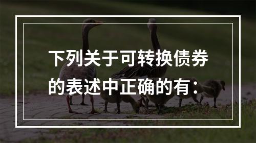 下列关于可转换债券的表述中正确的有：