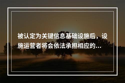 被认定为关键信息基础设施后，设施运营者将会依法承担相应的网络