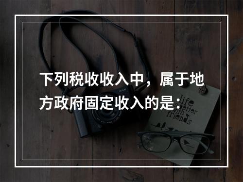 下列税收收入中，属于地方政府固定收入的是：