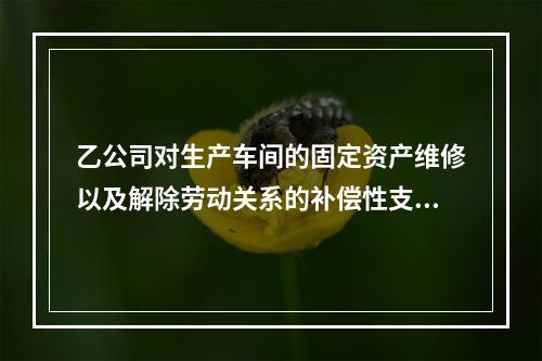 乙公司对生产车间的固定资产维修以及解除劳动关系的补偿性支出，