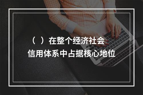 （   ）在整个经济社会信用体系中占据核心地位