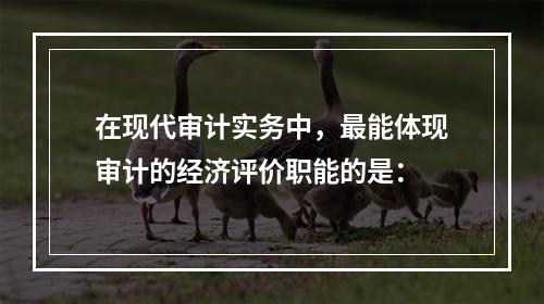 在现代审计实务中，最能体现审计的经济评价职能的是：