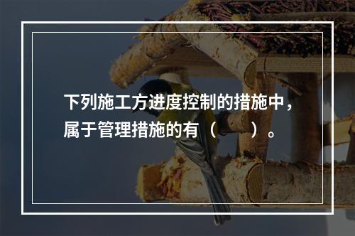 下列施工方进度控制的措施中，属于管理措施的有（　　）。