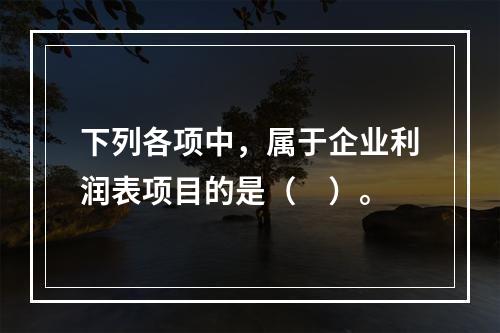 下列各项中，属于企业利润表项目的是（　）。