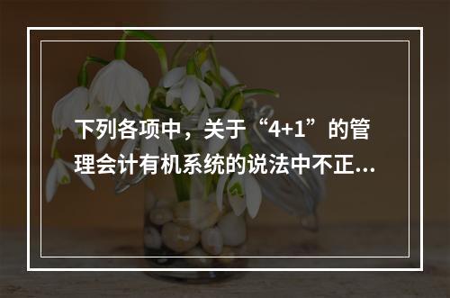 下列各项中，关于“4+1”的管理会计有机系统的说法中不正确的